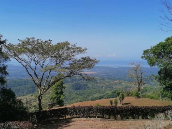 BELLA Y ÚTIL PROPIEDAD EN PUERTO CORTÉS, OSA.  en Puerto Cortés, Osa, Puntarenas — ₡ 75 000 000