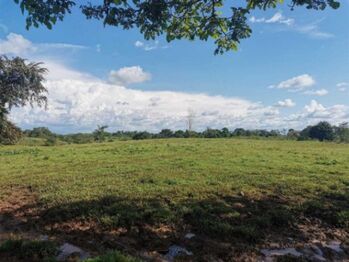 MLS-25-1097 VENTA FINCA POCOSOL SAN CARLOS en Pocosol, San Carlos, Alajuela — $1,800,000 - Foto 4 de 10