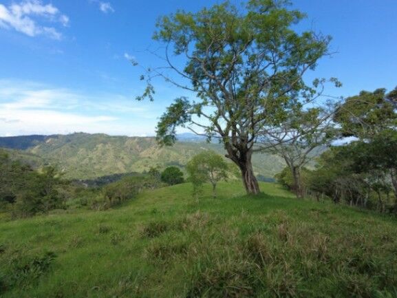 Se vende amplia finca de 26 hectáreas en Ciudad Colon 23-3180 in Colón, Mora, San José — $9,100,000