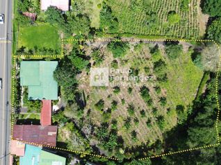 Se Vende Casa con amplio terreno en venta – Zaragoza de Palmares in Zaragoza, Palmares, Alajuela — 265 000 000 ₡ - Photo 3 of 5