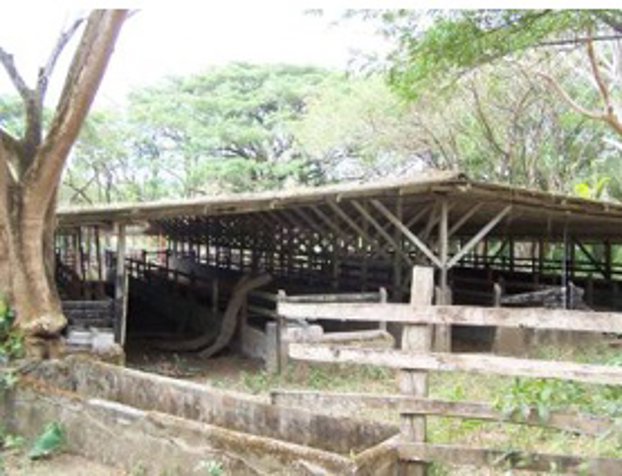 VENTA FINCA GANADERA, GUANACASTE, INTERAMERICANA NORTE en La Cruz, Guanacaste — $1,700,000 - Foto 3 de 12