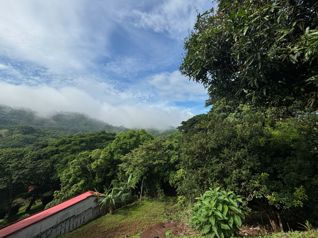 Propiedad ideal para casa, comercial en calle principal in Atenas, Alajuela — $225,000 - Photo 4 of 16
