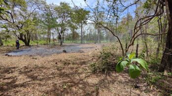 Playa Avellanas - Carretera Principal en Tamarindo, Santa Cruz, Guanacaste — $200,000 - Foto 3 de 6