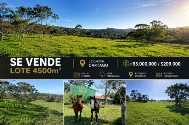 LOTE EN VENTA EN CARTAGO 4500m2 en Carmen, Cartago — ₡ 95 000 000