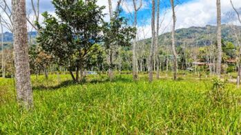 SE VENDE LOTE PREMIUM CON AREA PLANA Y QUEBRADA EN SANTA ROSA en Río Nuevo, Pérez Zeledón, San José — $55,999 - Foto 4 de 6