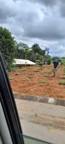 Lote cerca de DEKRA Palmares, Perez Zeledon in San Isidro De El General, Pérez Zeledón, San José — ₡ 20 000 000
