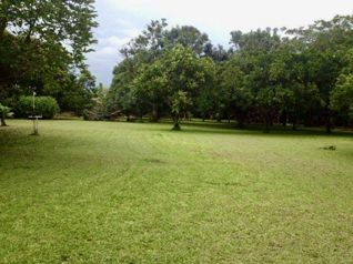 Venta lote en Esparza, Puntarenas - Uso mixto in San Rafael, Esparza, Puntarenas — 80 000 000 ₡ - Photo 3 of 19