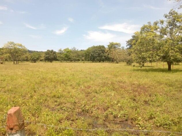 LOTE EN VENTA SARDINAL GUANACASTE $220.000 COD#25-486 en Sardinal, Carrillo, Guanacaste — $220,000