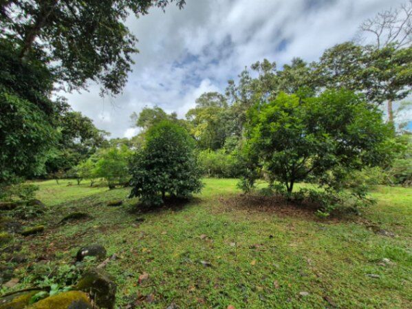 AMPLIA CASA CAMPESTRE CON PISCINA Y 1 HECTÁREA EN SANTA ELENA in San Isidro De El General, Pérez Zeledón, San José — $650,000