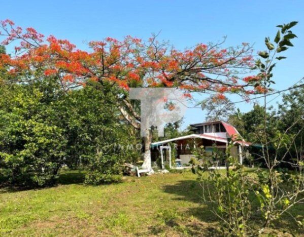 QUINTA 1.5 HECTÁREAS RÍO CUARTO ALAJUELA A 1 HORA LA FORTUNA SCG11 in Santa Rita, Río Cuarto, Alajuela — $249,000