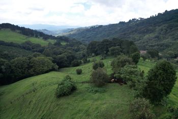 Finca en venta en Llano Bonito, Naranjo, Costa Rica – 10 manzanas en Mercedes, Atenas, Alajuela — 370 000 000 ₡ - Foto 3 de 18