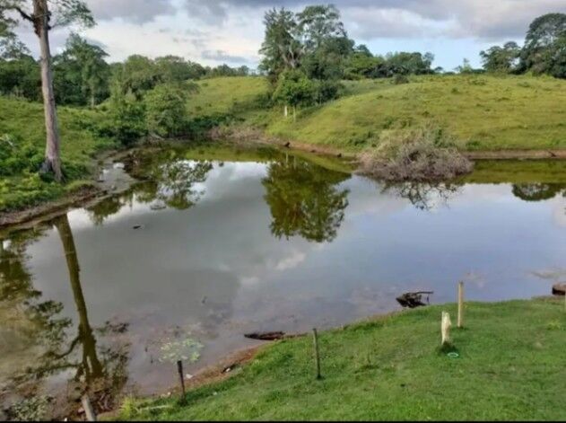 Finca en cureña sarapiqui  en Pocosol, San Carlos, Alajuela — $20,000