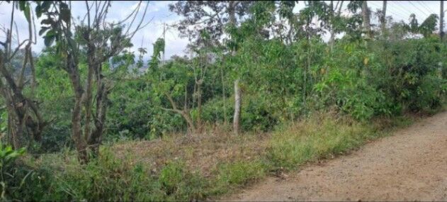 Venta de Lote en San Ramon, Alajuela. RAH 26-1283 en Ángeles, San Ramón, Alajuela — ₡ 139 875 000