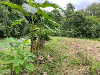 Land For Sale San Mateo, San Mateo, Alajuela