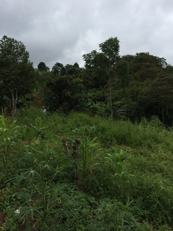 Lote en venta en Pérez Zeledón, Quebradas en San Isidro De El General, Pérez Zeledón, San José — 26 000 000 ₡ - Foto 1 de 7