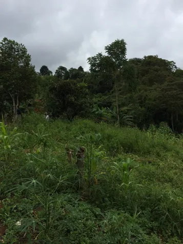 Lote en venta en Pérez Zeledón, Quebradas en San Isidro De El General, Pérez Zeledón, San José — ₡ 26 000 000