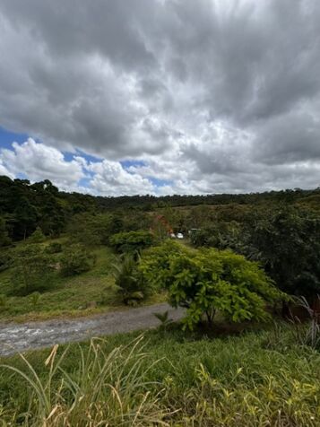 TERRENO EN VENTA GUAPILES - PRECIO NEGOCIABLE  in La Virgen, Sarapiquí, Heredia — ₡ 300 930 000