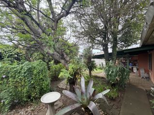VENTA DE LOTE DE 768 m² CON 2 CASAS – SAN PEDRO, BARRIO LA GRANJA in San Pedro, Montes De Oca, San José — $450,000 - Photo 4 of 17