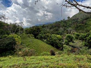 Venta de Finca de 7.1 Ha en Mercedes Sur, Puriscal in Mercedes Sur, Puriscal, San José — 45 000 000 ₡ - Photo 4 of 19