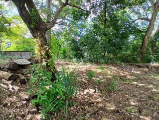 Venta de Lote en Santa Cruz-27 de Abril. RAH 26-2208 in Veintisiete De Abril, Santa Cruz, Guanacaste — 16 500 000 ₡ - Photo 3 of 10