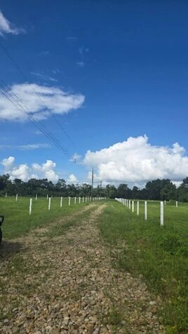 Lotes con Vista al Volcán en La Fortuna a 8km en La Fortuna, San Carlos, Alajuela — ₡ 35 000 000