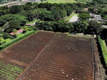 Venta de Lote en San Rafael de Alajuela. RAH 26-967  en San Rafael, Alajuela — $1,600,000 - Foto 5 de 6