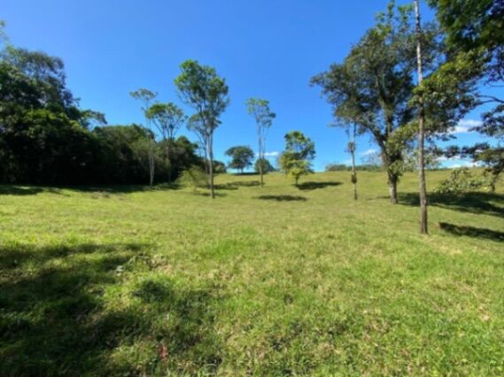 Venta de hermosa finca de 6.3 Hectáreas.  en Río Cuarto, Alajuela — $250,000