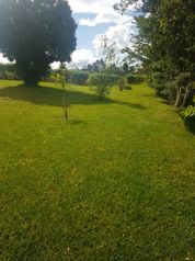 Lote 4360m2 ₡20 mil el m2 en Grecia en Bolívar, Grecia, Alajuela — 87 000 000 ₡ - Foto 5 de 6