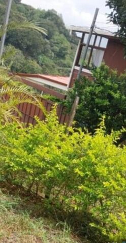 CASA VENTA SAN JOSE SUR - ATENAS  en San José, Atenas, Alajuela — ₡ 38 000 000