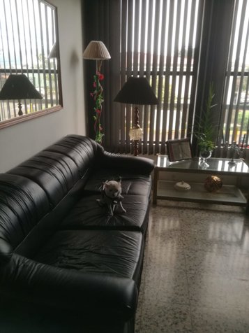 Casa esquinera en Venta en Guadalupe,5PJG7098403,NEGOCIABLE in Guadalupe, Goicoechea, San José — ₡ 120 000 000