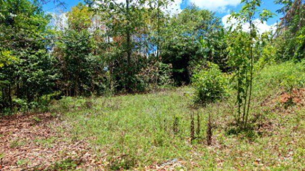 LOTE DE 2.580 M2 EN VENTA EN PEDREGOSO, CALLE CALALLO, PEREZ ZELEDON in El General, Pérez Zeledón, San José — $120,000