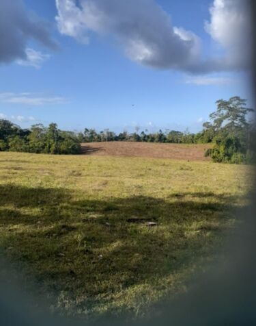 se vende bella finca 56 manzanas infor.al telef.85683261 in El Amparo, Los Chiles, Alajuela — $550,000