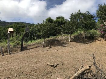 Venta de lote de 2600 m2 en Santa Ana Piedades in Piedades, Santa Ana, San José — $140,000 - Photo 4 of 10