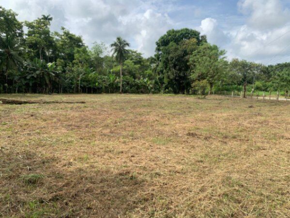 Hermoso lote en Las Pavas de Upala en Delicias, Upala, Alajuela — ₡ 12 000 000