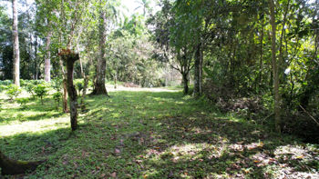 GREAT LOCATION!! Community, permaculture , self sustainable in Cajón, Pérez Zeledón, San José — $399,000 - Photo 4 of 80