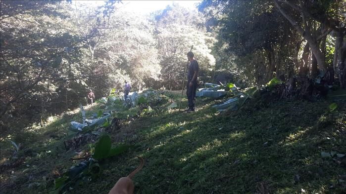BELLOLOTE EN DERECHO EN PATARRA, DESAMPARADOS. en Patarrá, Desamparados, San José — ₡ 12 000 000