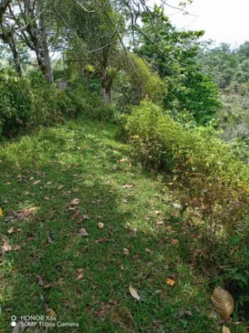 DE OPORTUNIDAD BELLA Y ÚTIL FINCA EN VALLE LA ESTRELLA, LIMÓN.  en Valle La Estrella, Limón — ₡ 129 000 000 - Foto 2 de 8