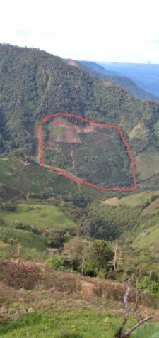 16 HA DE CAFE EN SANTA MARIA DE DOTA en Santa María, Dota, San José — ₡ 320 000 000