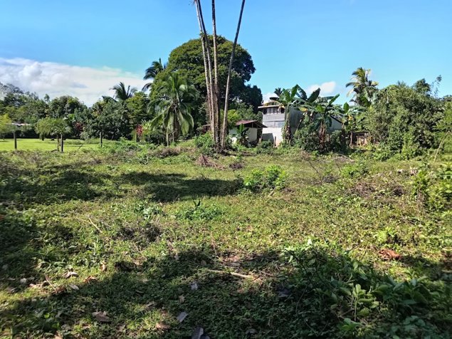 Lote En Venta En Guácimo, Limón in Guácimo, Limón — ₡ 9 328 975 - Photo 3 of 10