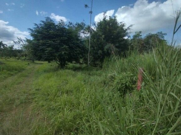 MLS-25-1043 VENTA LOTE LA TIGRA SAN CARLOS en La Tigra, San Carlos, Alajuela — ₡ 12 500 000