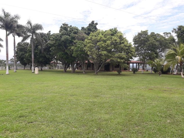Espectaculares 123.5 Ha en Cañas Vocación Variada en Cañas, Guanacaste — $1,100,000 - Foto 3 de 39