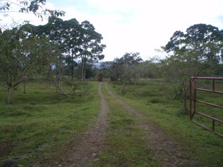 Finca Ganadera en  Las  Horquetas de Sarapiqui , Heredia  . in Las Horquetas, Sarapiquí, Heredia — $6,500,000 - Photo 5 of 24