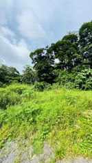 🌿 TERRENO EN VENTA EN BUENOS AIRES – CALLE LOS LAURELES in Guápiles, Pococí, Limón — 35 000 000 ₡ - Photo 4 of 4