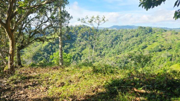 SE VENDE FINCA CON VISTAS PANORAMICAS E IDEAL PARA GLAMPING EN PEREZ ZELEDON en San Isidro De El General, Pérez Zeledón, San José — $160,000
