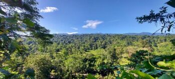 Se Vende Finca de 107 Hectáreas en Matina, Limón – Oportunidad Única in Matina, Limón — 230 000 000 ₡ - Photo 4 of 12