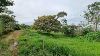 Propiedad de 10 Hectáreas en Venta en Santa Marta de Cajón, Pérez Zeledón in San Isidro De El General, Pérez Zeledón, San José — $399,999 - Photo 5 of 12