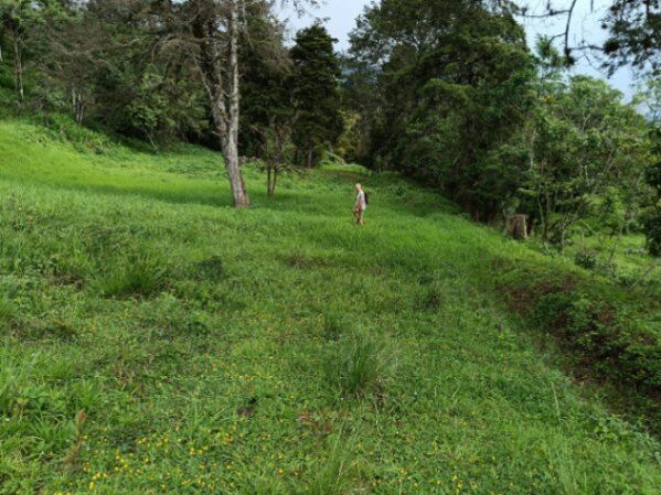 Venta de lote de 14,000 M2 ubicado en pico blanco Escazu  en San Antonio, Escazú, San José — $630,000