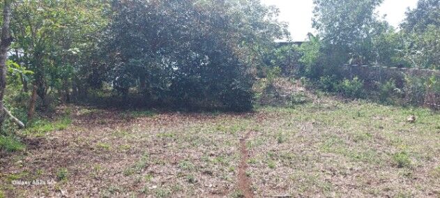 Lote en Venta – Orotina, Alajuela-2000 m2 in Coyolar, Orotina, Alajuela — ₡ 43 000 000