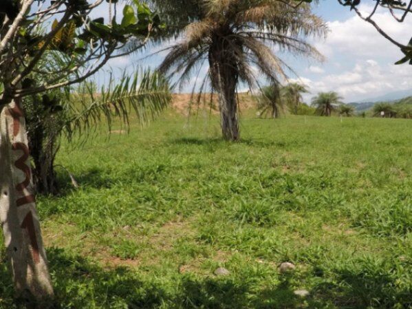 Venta de Lote 73-1.Proyecto Vista Mar en Orotina de Alajuela. RAH 27-184 en Orotina, Alajuela — $59,750