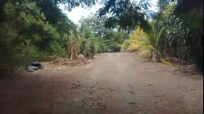 SE VENDE PRECIOSA FINCA EN SAN MATEO DE ALAJUELA.  en San Mateo, Alajuela — ₡ 200 000 000